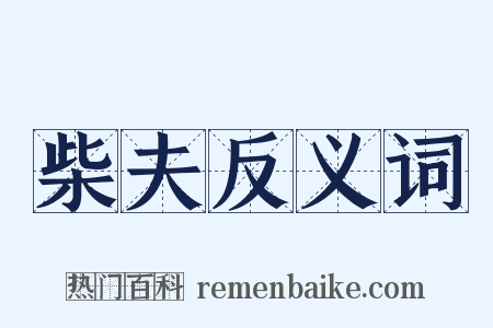柴夫反义词是什么意思的图片